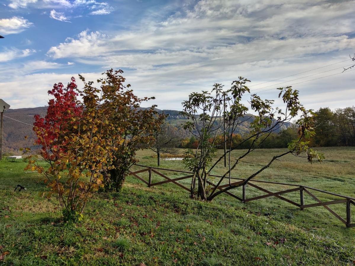 "Borgo Gerbina" Agriturismo & Azienda Agricola Sozzi Exterior foto